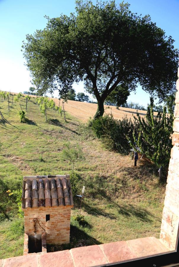 B&B Mik e Ramo Abbadia di Fiastra Exterior foto